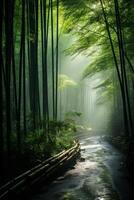 Serene bamboo forest path with flowing stream photo