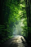 Lush green forest path with sunlight filtering through the trees photo