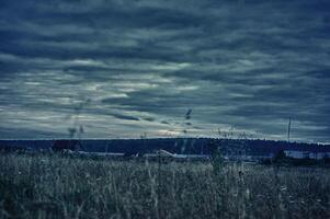 Nature landscape is forest and grass. Beautiful photo