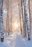 Serene winter wonderland with snow covered birch trees photo