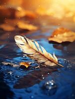 Feather floating on shimmering water photo