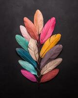 Colorful feathers arranged in a branch like pattern against a dark background photo