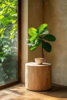 A cup of coffee sits on a wooden table next to a ficus plant in a sunlit room photo