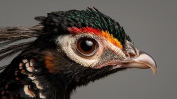 Close up profile of a colorful bird with intricate feathers photo