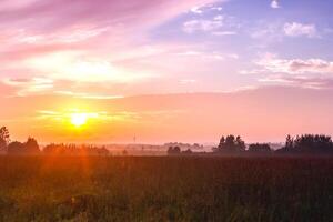 Sunset of the forest against background of clearing and forest strip. Sunset in the steppe. photo