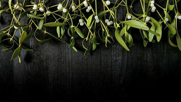Mistletoe branches with white berries on black wooden background with empty space for text. photo