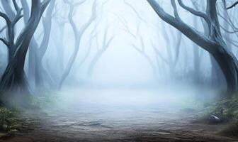 A path through a foggy forest with trees photo