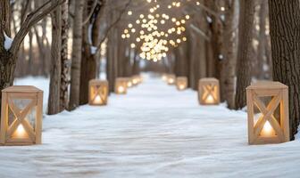 A snowy path lined with lanterns and trees photo