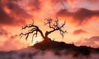 A dead tree on top of a hill with clouds in the background photo
