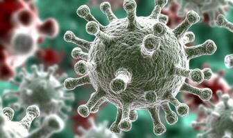 Coronavirus is shown in this image photo