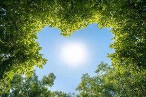 A heart-shaped view of green leaves framing a bright sunlit sky. photo