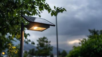 A solar-powered street lamp illuminating a garden area at dusk. photo