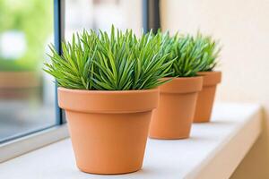 Tranquil outdoor patio featuring potted greenery for a refreshing ambiance photo