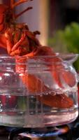 Lobster falling into boiling pot in slow motion. video