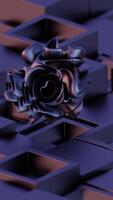 A 3d rendering of a black rose on a purple background video