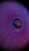 A purple object with a black background video