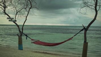Stretched hammock between two trees on a sandy beach with the sea in the background. Waves of surf wash the shore. Cloudy day, Maldives. video