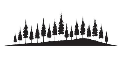 Serene Silhouette of Pine Trees on a Hill vector