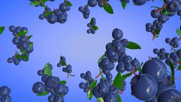 3D animation of falling huckleberries with a purple gradient background in vertical view video