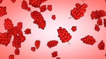 3D animation of falling grapes with a red gradient background in vertical view video