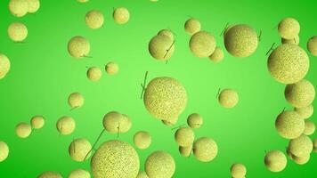 3D animation of falling melons with a green gradient background in vertical view video