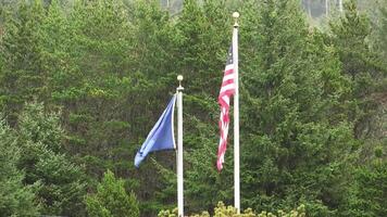 Oregon State And United States Flag Gently Moving On Flagpoles With Hard Rain Coming Down And Green Trees In Background video