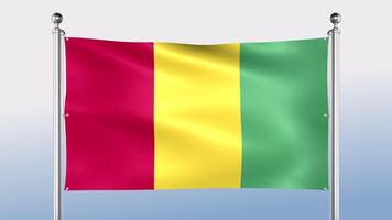 Guinea Flag Hangs On The Pole On Both Sides video