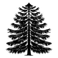 A tall black silhouette of a pine tree with a slender trunk and layered, triangular branches tapering toward the top. vector