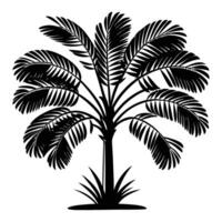 A tropical black silhouette of a tall palm tree with a thin, slightly curved trunk and a crown of large, fan-shaped fronds radiating outward. The background is clean white. vector