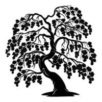 A delicate black silhouette of a cherry blossom tree with a twisting trunk and thin branches spreading outward. vector