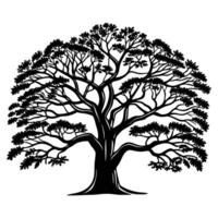 A broad black silhouette of an ancient oak tree with thick, gnarled branches spreading widely. vector