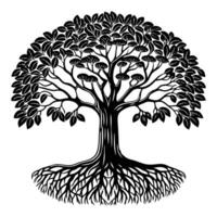 A unique black silhouette of a mangrove tree with exposed, sprawling roots and a dense canopy of oval shaped leaves. vector