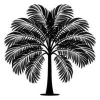 A tropical black silhouette of a tall palm tree with a thin, slightly curved trunk and a crown of large, fan-shaped fronds radiating outward. The background is clean white. vector