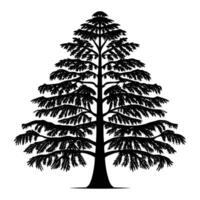 A tall black silhouette of a pine tree with a slender trunk and layered, triangular branches tapering toward the top. vector