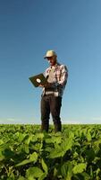 Farm worker with laptop inspecting soy at field. Vertical video