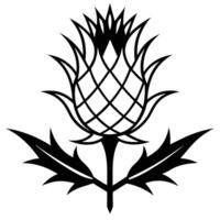 Scottish Thistle Silhouette of the National Flower vector