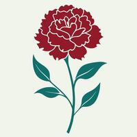 Beautiful red carnation isolated on white background. vector