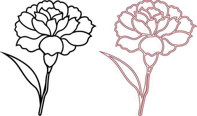 black and red Carnation Flower silhouette
