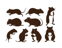 Template Gerbil Silhouettes in Natural Poses vector