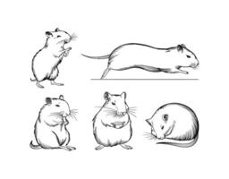 Gerbil Silhouettes in Various Poses Template vector