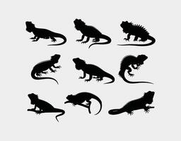 Bearded Dragon Silhouette Collection Template Dynamic Poses vector