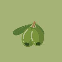 Branch with three ripe black olives over green background vector