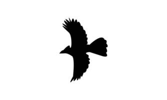Flying Bulbul Bird Black Silhouette Design And Illustration. vector