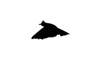 Bulbul Bird Flying Silhouette Design vector