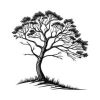 elegant, and stylized black and white graphic of a tree. vector