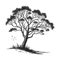 A striking, stylized silhouette of a large tree, rendered in black ink on a pure white background. vector