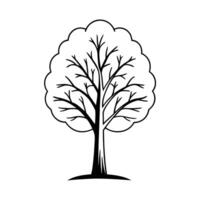 Elegant Black and White Line Drawing of a Majestic Tree vector