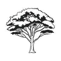 Simple black and white illustration of a stylized tree. vector