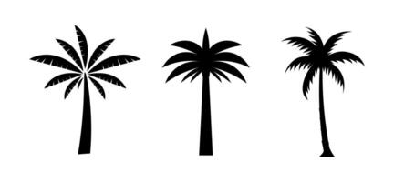Palm tree summer vector
