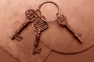 Three old keys on plates close up. Objects on Mocha and Mousse, brown background. Concept photo. Demonstrating color of 2025 year photo